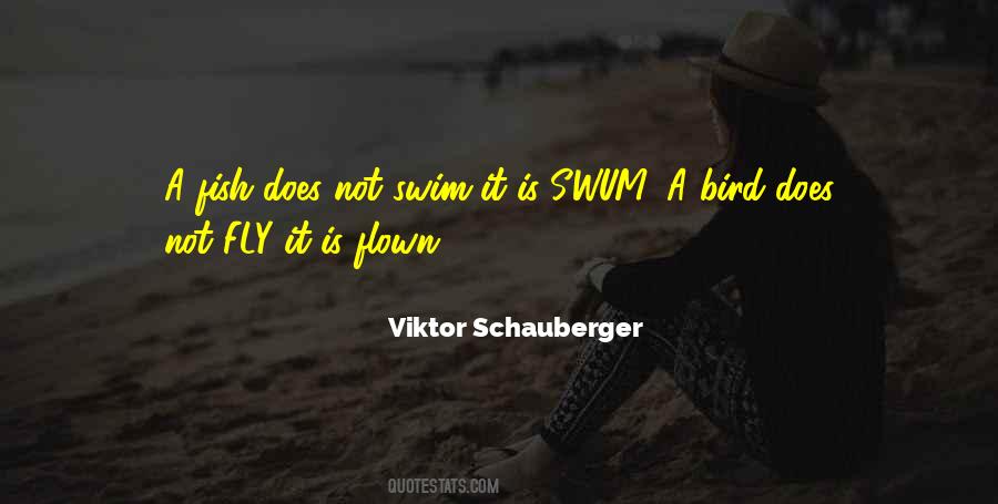 Viktor Schauberger Quotes #953848