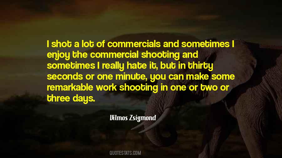 Vilmos Zsigmond Quotes #985927