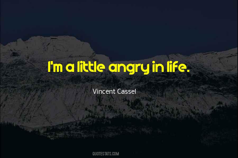 Vincent Cassel Quotes #1080005