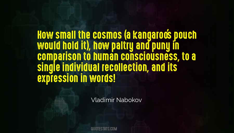 Vladimir Nabokov Quotes #102739