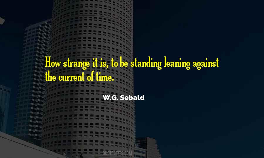 W G Sebald Quotes #166309