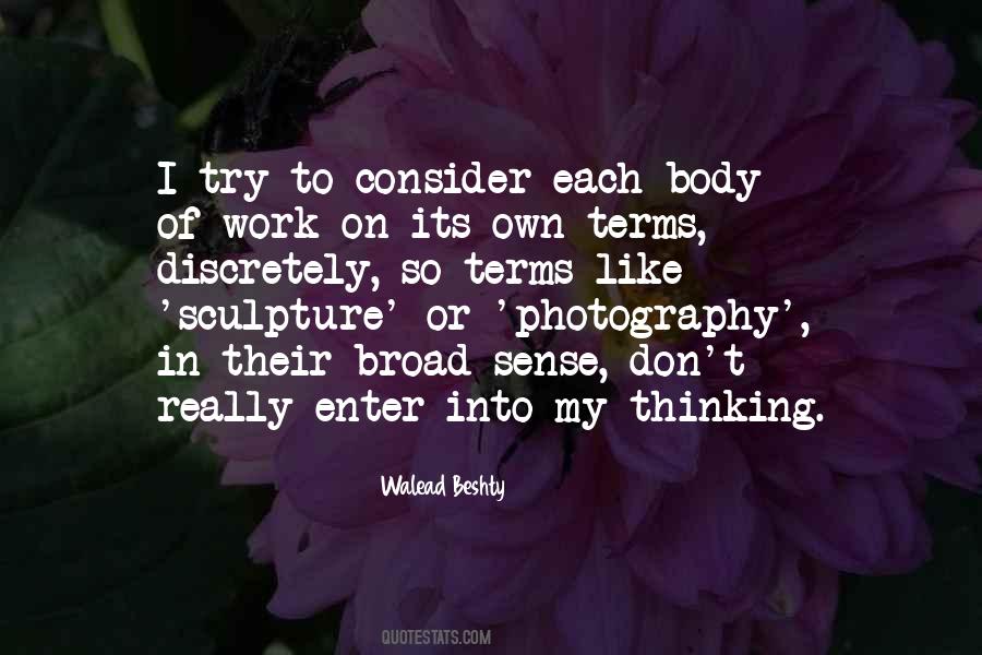 Walead Beshty Quotes #1692073
