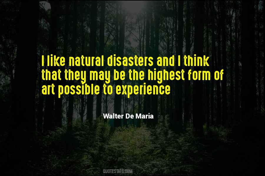 Walter De Maria Quotes #326348