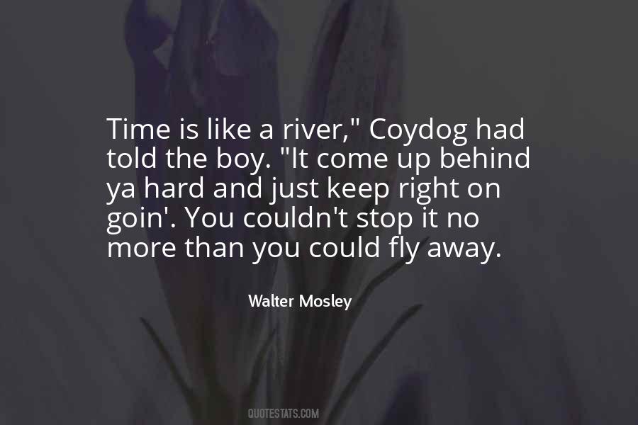 Walter Mosley Quotes #1298566