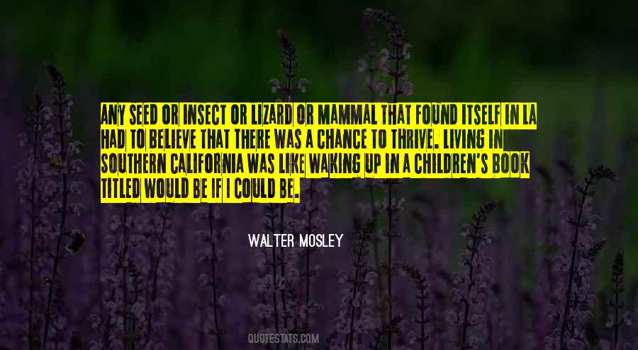 Walter Mosley Quotes #828777