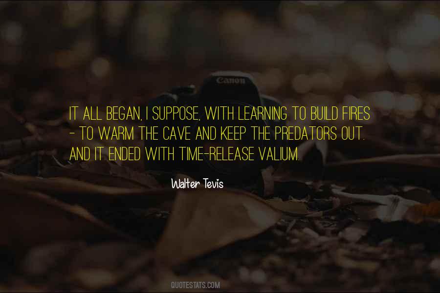 Walter Tevis Quotes #1363920