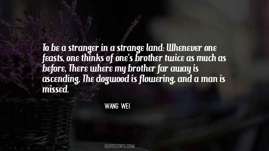 Wang Wei Quotes #843764