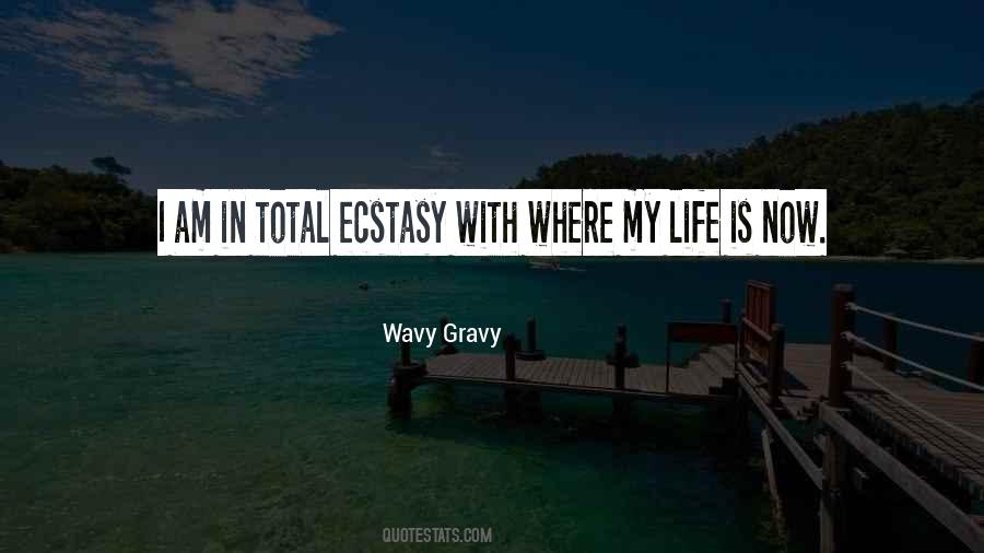 Wavy Gravy Quotes #1549435