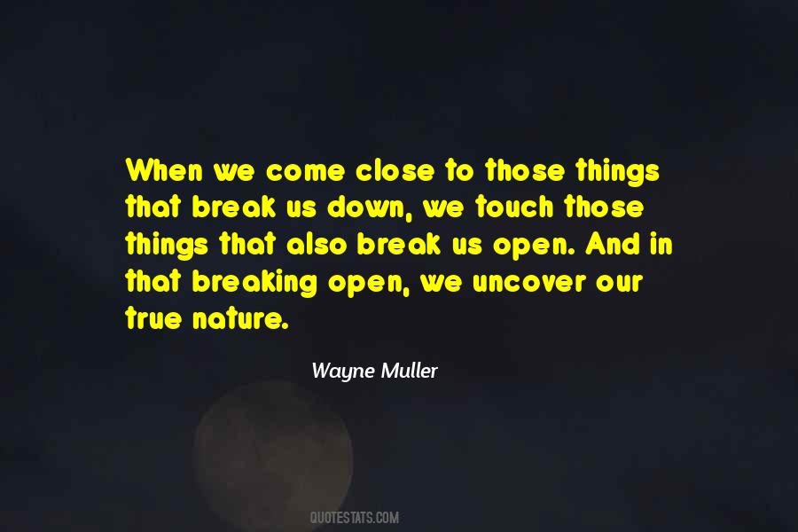 Wayne Muller Quotes #1685615