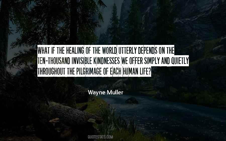 Wayne Muller Quotes #1780020