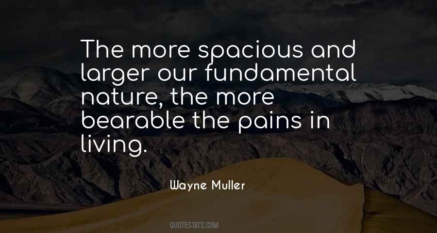 Wayne Muller Quotes #312074