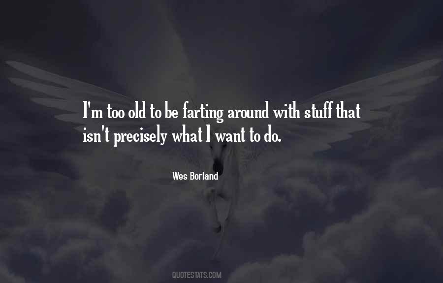 Wes Borland Quotes #20077