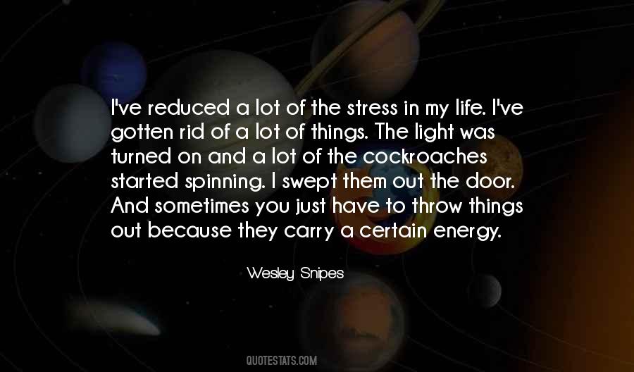 Wesley Snipes Quotes #1799003