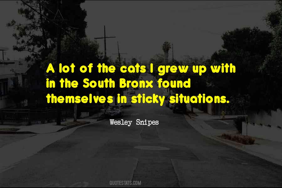 Wesley Snipes Quotes #701270