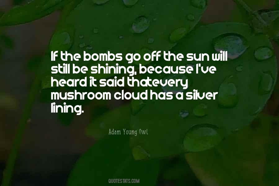 Quotes About Silver Lining #546646