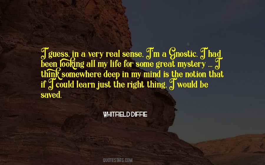Whitfield Diffie Quotes #705480