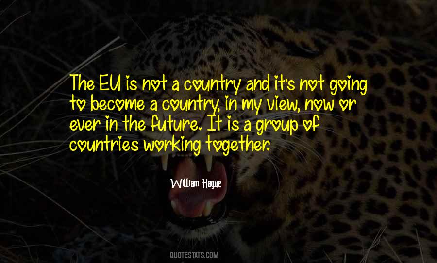 William Hague Quotes #120439
