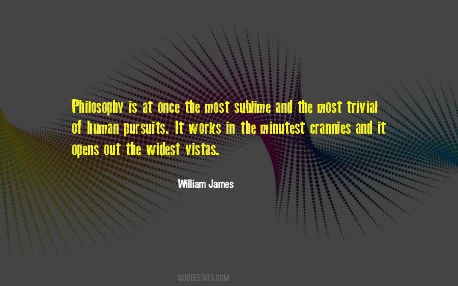 William James Quotes #148065