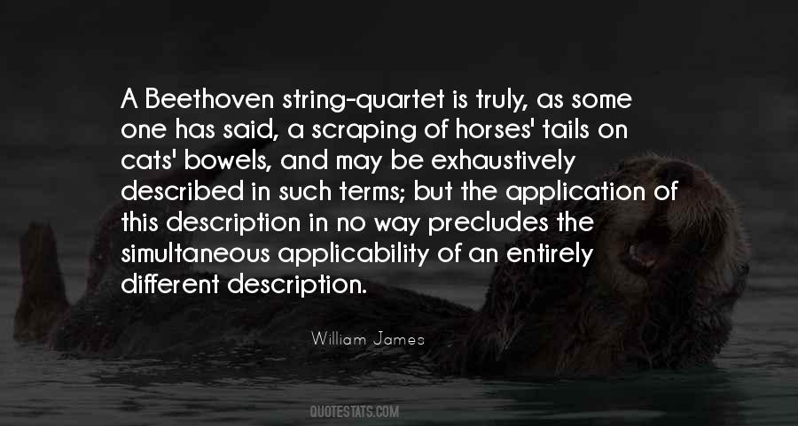 William James Quotes #19482