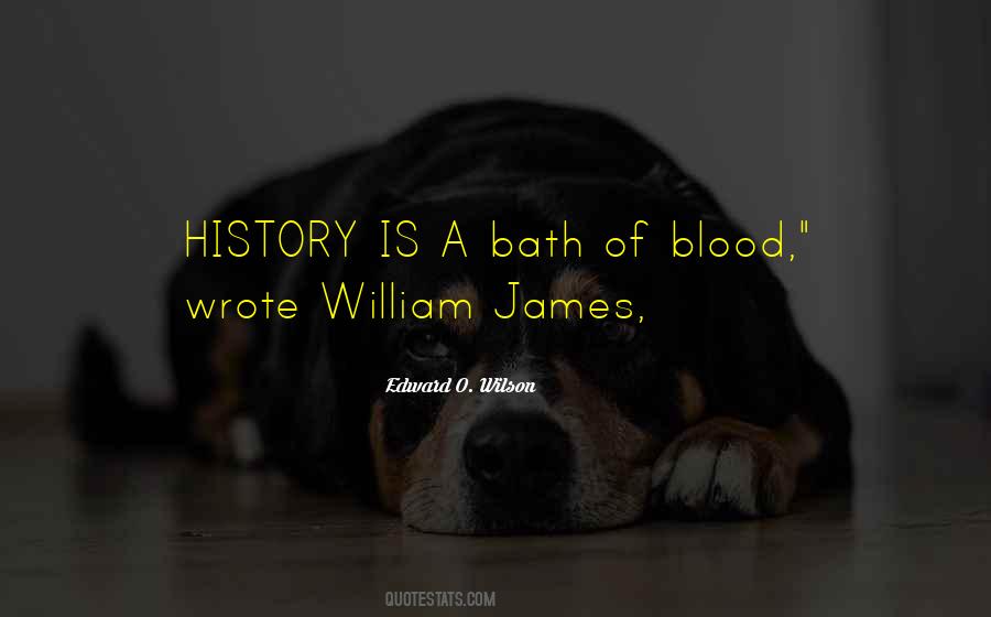 William James Quotes #511551