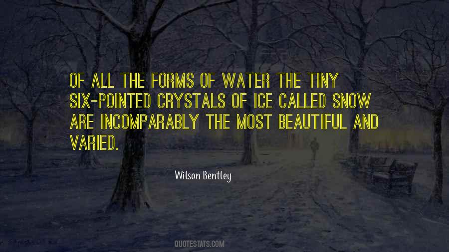 Wilson Bentley Quotes #511767