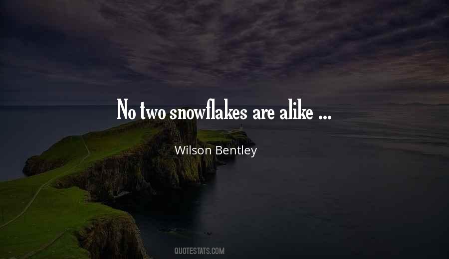Wilson Bentley Quotes #81710
