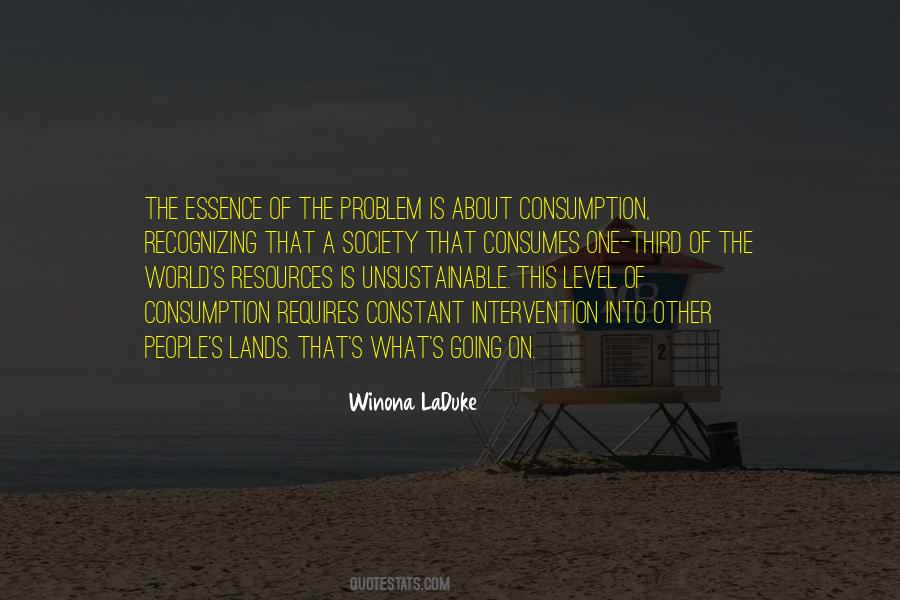 Winona Laduke Quotes #245726