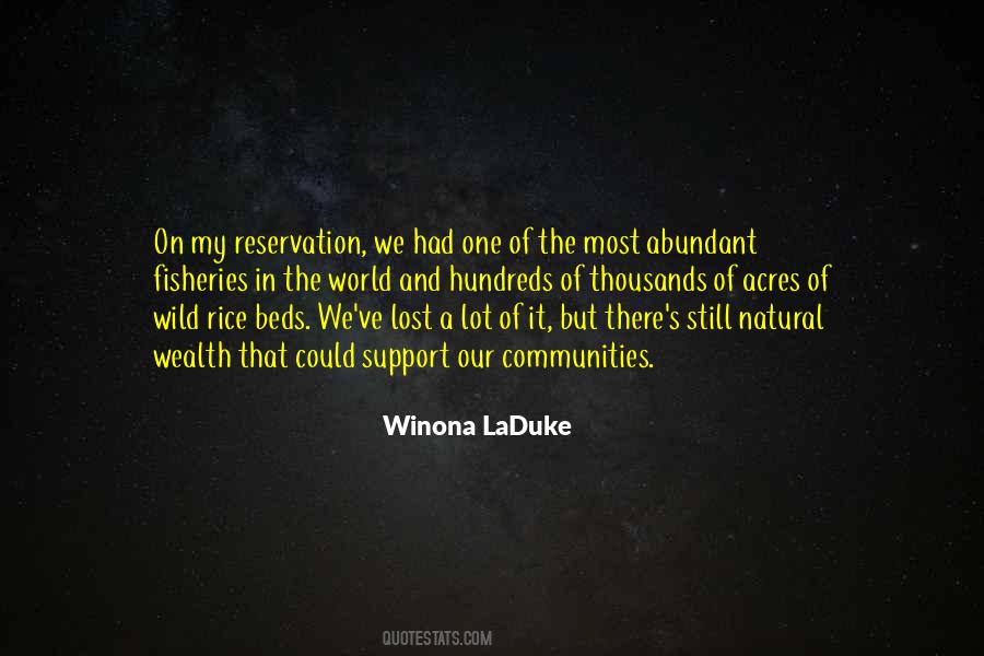 Winona Laduke Quotes #420788