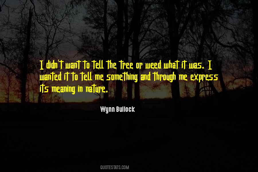 Wynn Bullock Quotes #301484