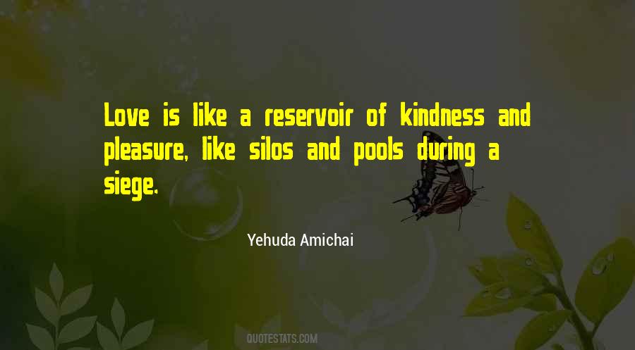 Yehuda Amichai Quotes #1183259