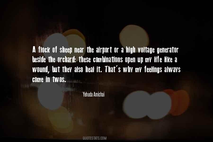 Yehuda Amichai Quotes #1688394