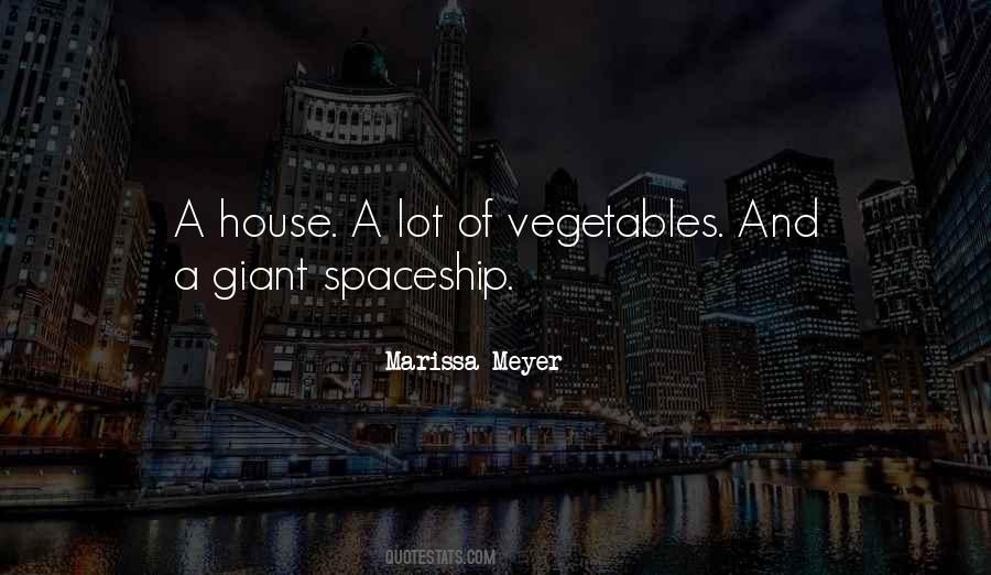 Quotes About Spaceship #782062