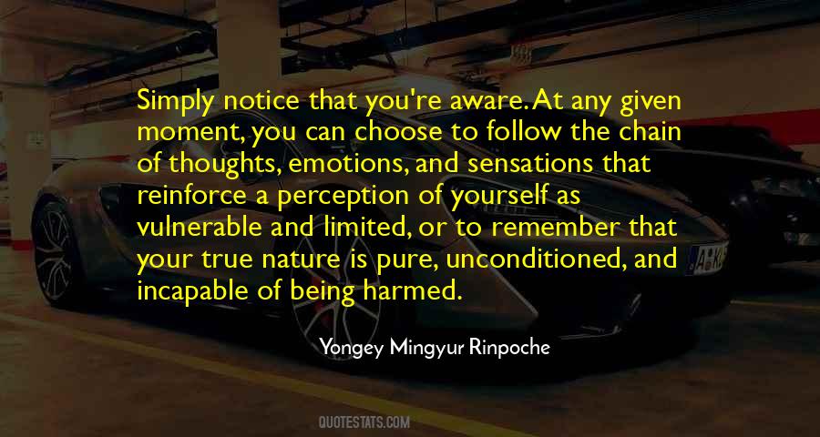 Yongey Mingyur Quotes #193641