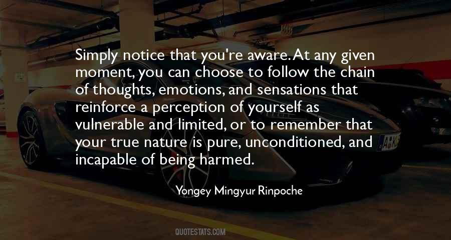 Yongey Mingyur Rinpoche Quotes #193641
