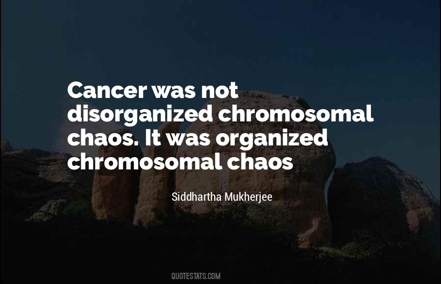 Quotes About Organized Chaos #1338834