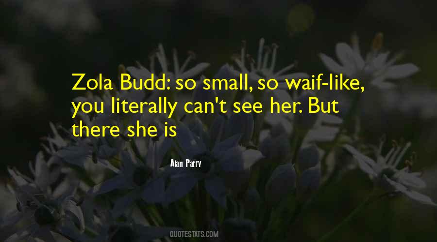 Zola Budd Quotes #832985