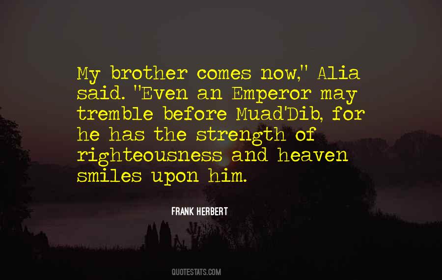 Quotes About My Brother In Heaven #1109341