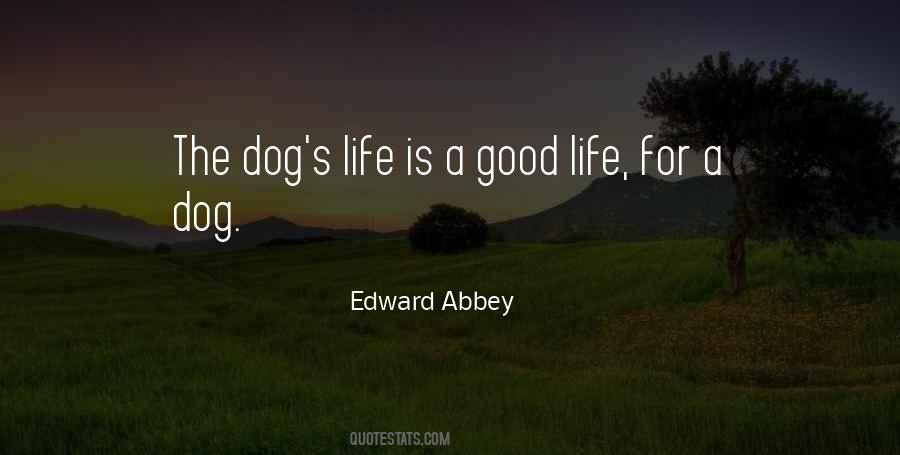 Abbey's Quotes #1014675