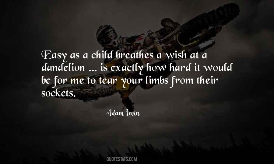 Quotes About A Wish #899260