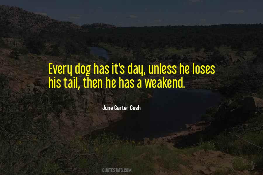 Quotes About Dog Tail #1071285
