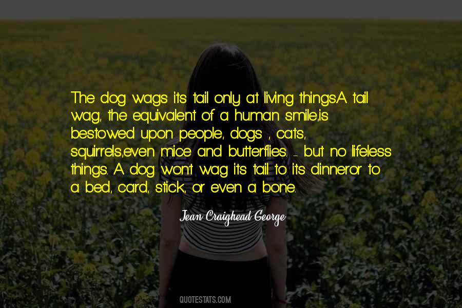 Quotes About Dog Tail #1534303