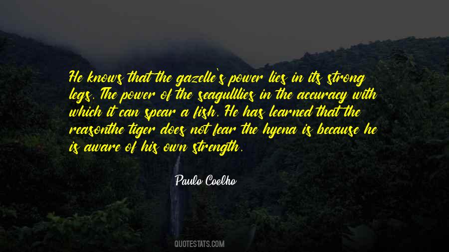 Accuracy's Quotes #648369