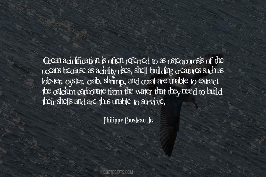 Acidification Quotes #829671