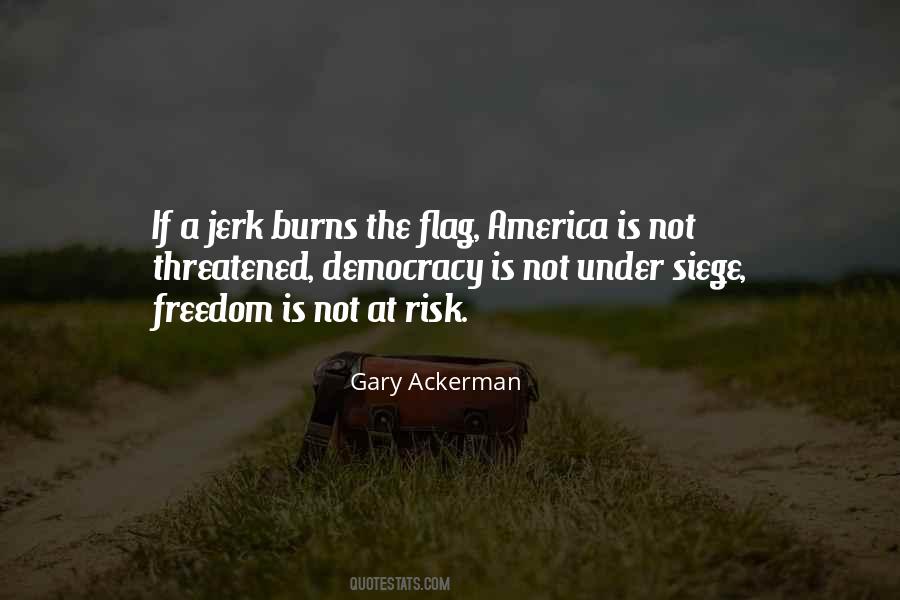 Ackerman's Quotes #252924