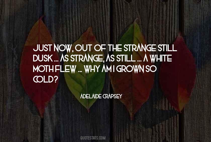 Adelaide's Quotes #882055