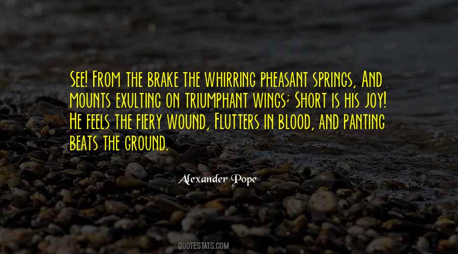 Quotes About Springs #266810 Quotes About Springs #266810