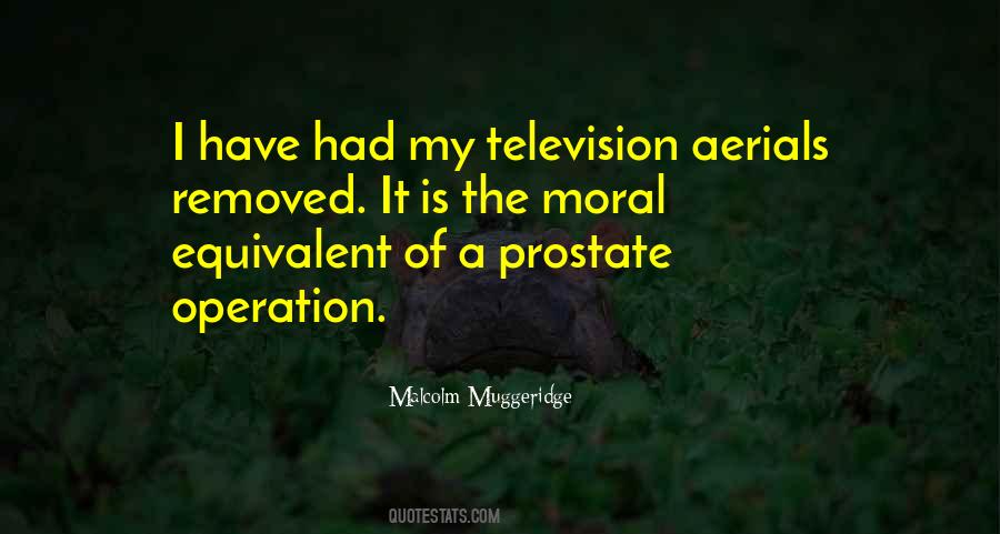 Aerials Quotes #553938