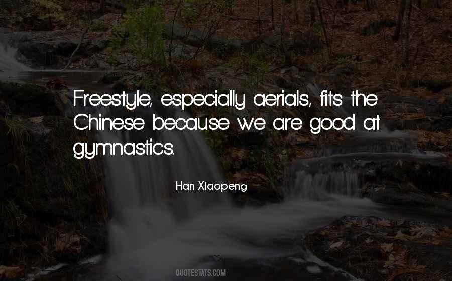 Aerials Quotes #636693