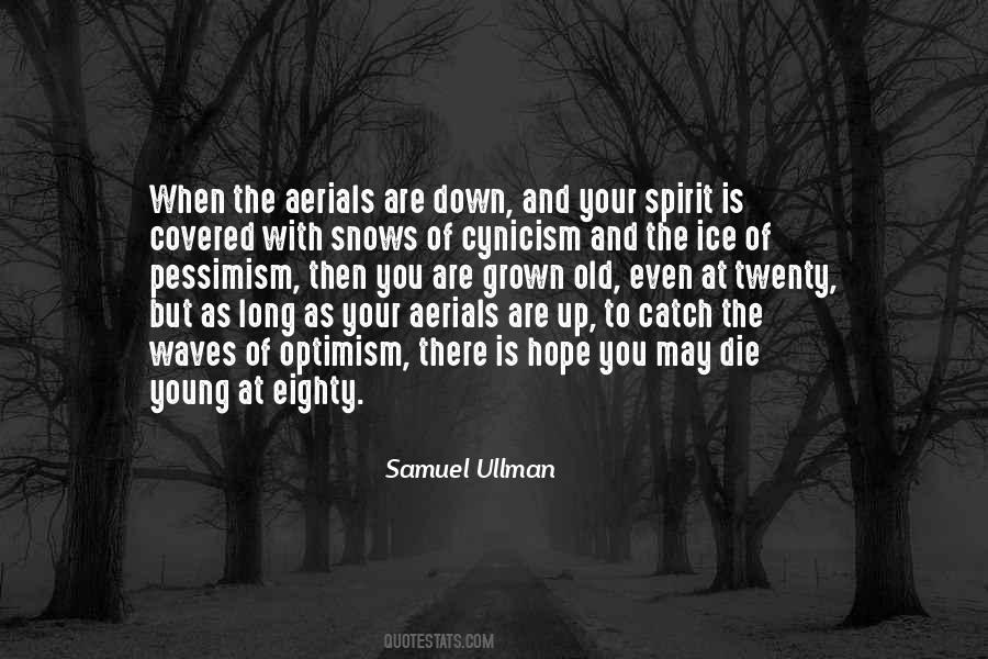 Aerials Quotes #735169