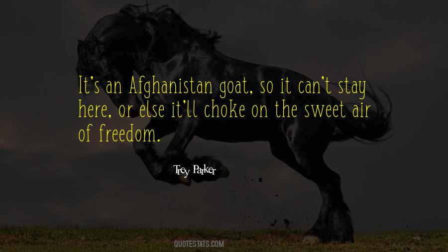 Afghanistan's Quotes #320575